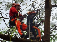 gallery/dsc04622