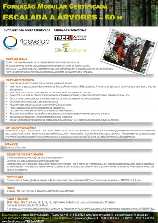 gallery/escalada de árvores treem_coimbra